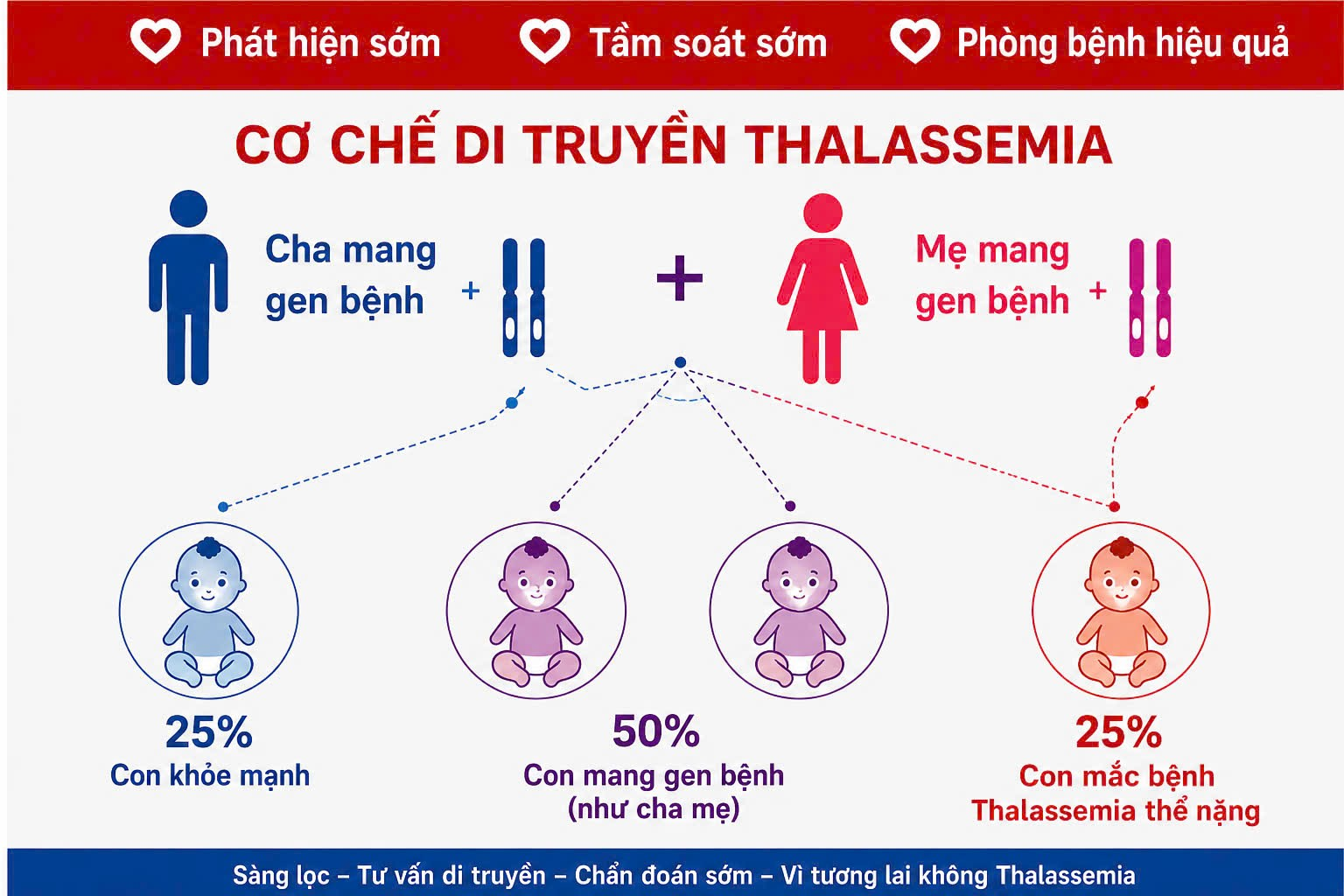 thalass-2